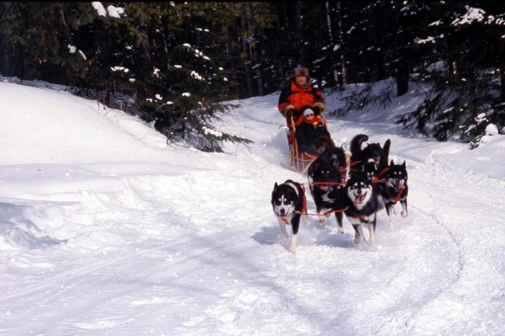 Kan-A-Mouche Pourvoirie Auberge Et Chalets แซ็งต์-มิเชล-เดส์-แซ็งส์ ภายนอก รูปภาพ