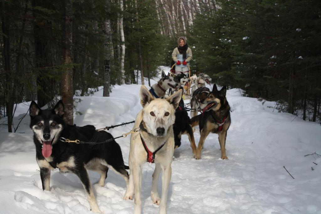 Kan-A-Mouche Pourvoirie Auberge Et Chalets แซ็งต์-มิเชล-เดส์-แซ็งส์ ภายนอก รูปภาพ